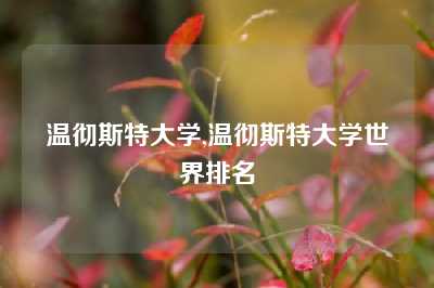 温彻斯特大学,温彻斯特大学世界排名