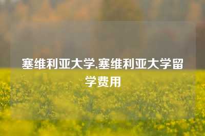 塞维利亚大学,塞维利亚大学留学费用