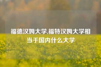 福德汉姆大学,福特汉姆大学相当于国内什么大学