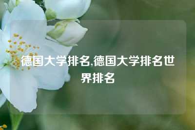 德国大学排名,德国大学排名世界排名