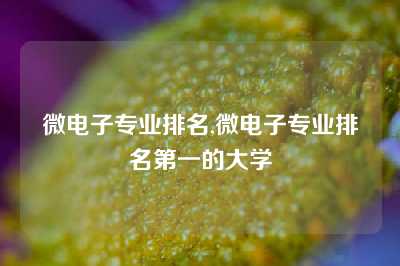 微电子专业排名,微电子专业排名第一的大学