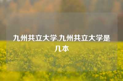 九州共立大学,九州共立大学是几本