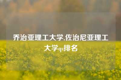 乔治亚理工大学,佐治尼亚理工大学qs排名