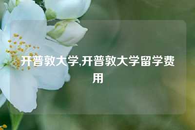 开普敦大学,开普敦大学留学费用