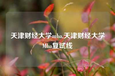 天津财经大学mba,天津财经大学Mba复试线