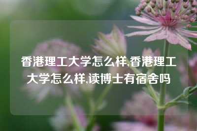 香港理工大学怎么样,香港理工大学怎么样,读博士有宿舍吗