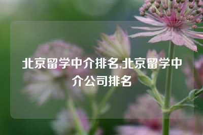 北京留学中介排名,北京留学中介公司排名