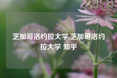 芝加哥洛约拉大学,芝加哥洛约拉大学 知乎