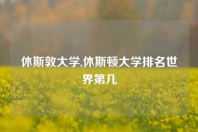 休斯敦大学,休斯顿大学排名世界第几