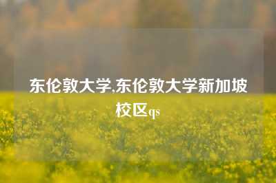 东伦敦大学,东伦敦大学新加坡校区qs