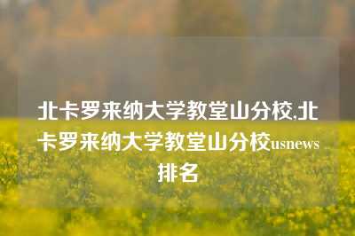 北卡罗来纳大学教堂山分校,北卡罗来纳大学教堂山分校usnews排名