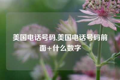 美国电话号码,美国电话号码前面+什么数字