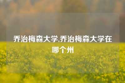 乔治梅森大学,乔治梅森大学在哪个州