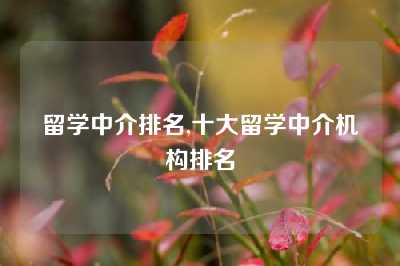 留学中介排名,十大留学中介机构排名