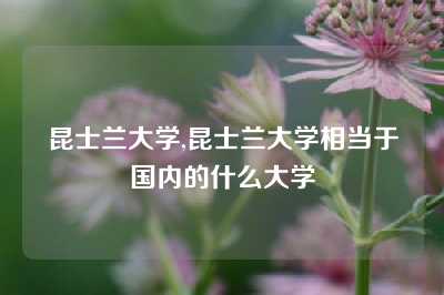 昆士兰大学,昆士兰大学相当于国内的什么大学