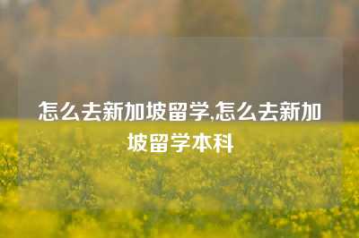 怎么去新加坡留学,怎么去新加坡留学本科