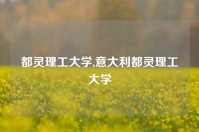 都灵理工大学,意大利都灵理工大学