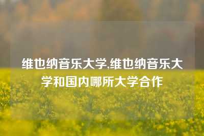 维也纳音乐大学,维也纳音乐大学和国内哪所大学合作