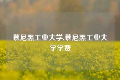 慕尼黑工业大学,慕尼黑工业大学学费