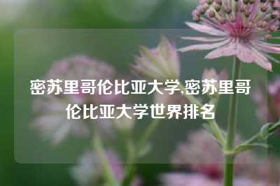 密苏里哥伦比亚大学,密苏里哥伦比亚大学世界排名