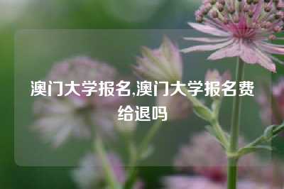 澳门大学报名,澳门大学报名费给退吗