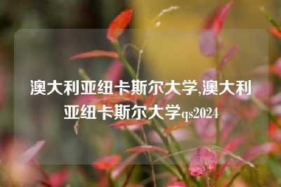 澳大利亚纽卡斯尔大学,澳大利亚纽卡斯尔大学qs2024