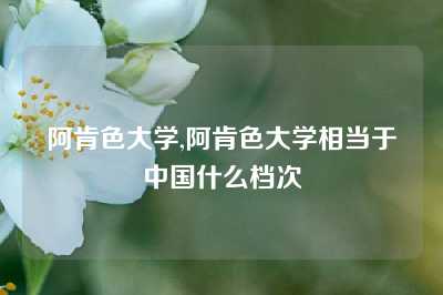 阿肯色大学,阿肯色大学相当于中国什么档次