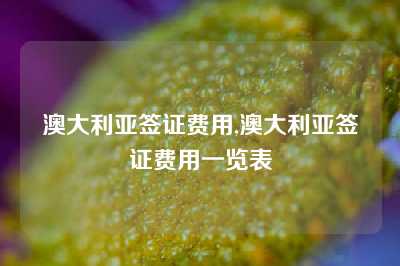 澳大利亚签证费用,澳大利亚签证费用一览表