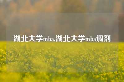 湖北大学mba,湖北大学mba调剂