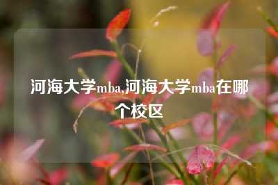 河海大学mba,河海大学mba在哪个校区