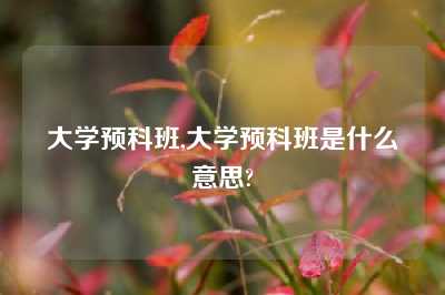 大学预科班,大学预科班是什么意思?