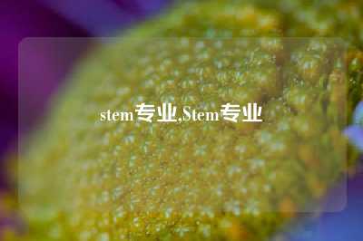 stem专业,Stem专业