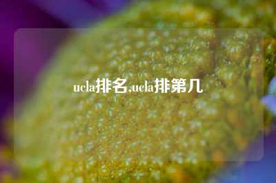 ucla排名,ucla排第几