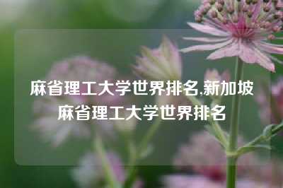 麻省理工大学世界排名,新加坡麻省理工大学世界排名