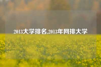 2013大学排名,2013年网排大学