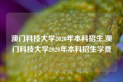 澳门科技大学2020年本科招生,澳门科技大学2020年本科招生学费